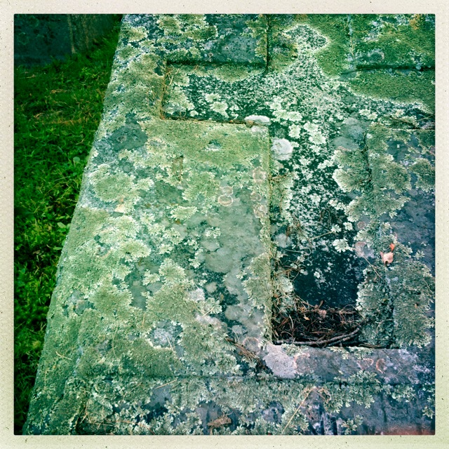 Resurrection Everyday